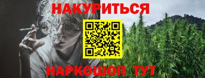 jwh Ставрополь