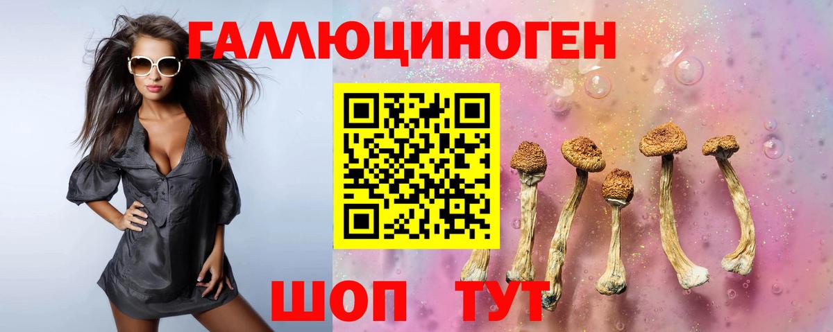 Галлюциногенные грибы Psilocybine cubensis Мариинск